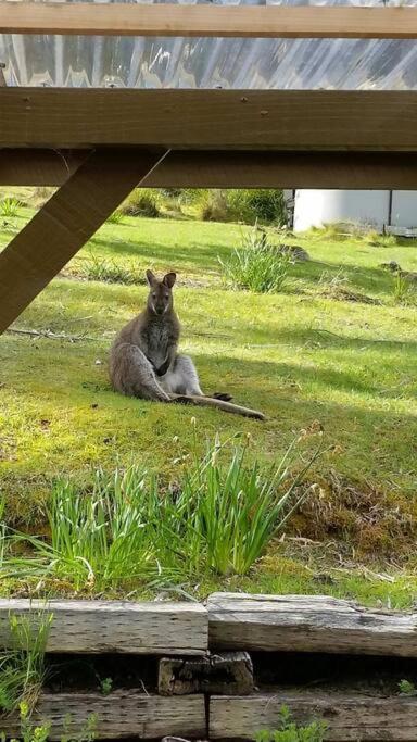 The Stone Cottage - Bruny Island Simpsons Bay Exterior foto